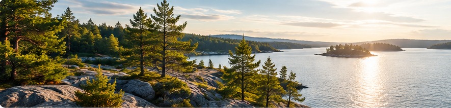 Swedish nature by a lake